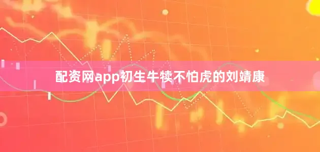 配资网app初生牛犊不怕虎的刘靖康