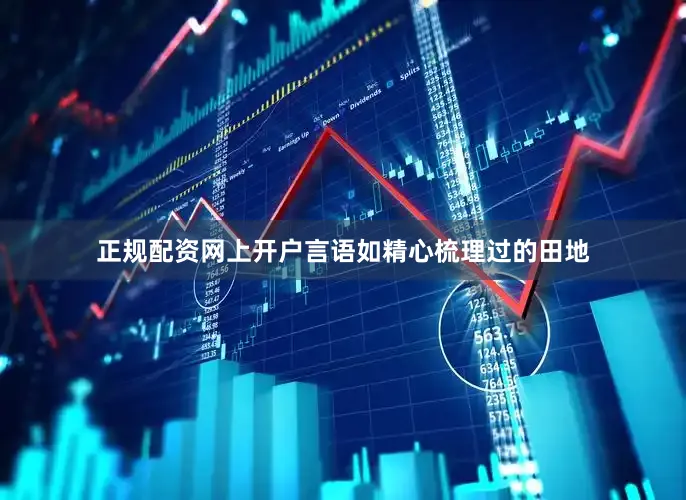 正规配资网上开户言语如精心梳理过的田地