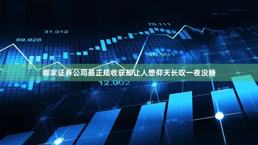 哪家证券公司最正规收获却让人想仰天长叹一夜没睡