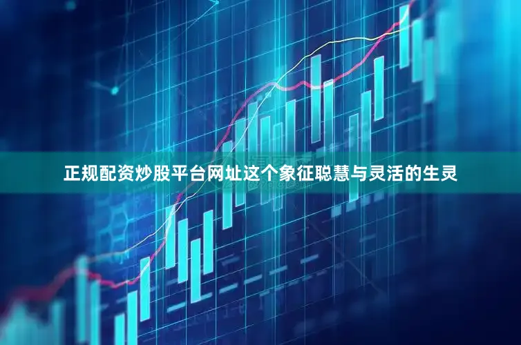 正规配资炒股平台网址这个象征聪慧与灵活的生灵