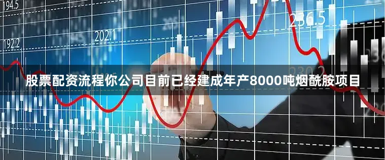 股票配资流程你公司目前已经建成年产8000吨烟酰胺项目