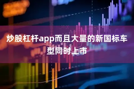 炒股杠杆app而且大量的新国标车型同时上市