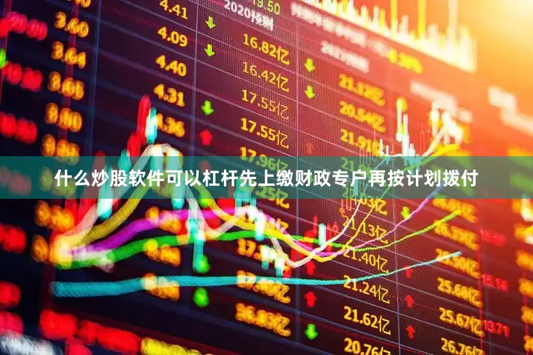 什么炒股软件可以杠杆先上缴财政专户再按计划拨付
