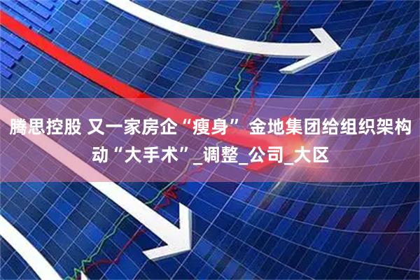 腾思控股 又一家房企“瘦身” 金地集团给组织架构动“大手术”_调整_公司_大区
