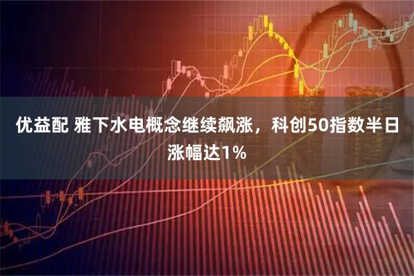 优益配 雅下水电概念继续飙涨，科创50指数半日涨幅达1%